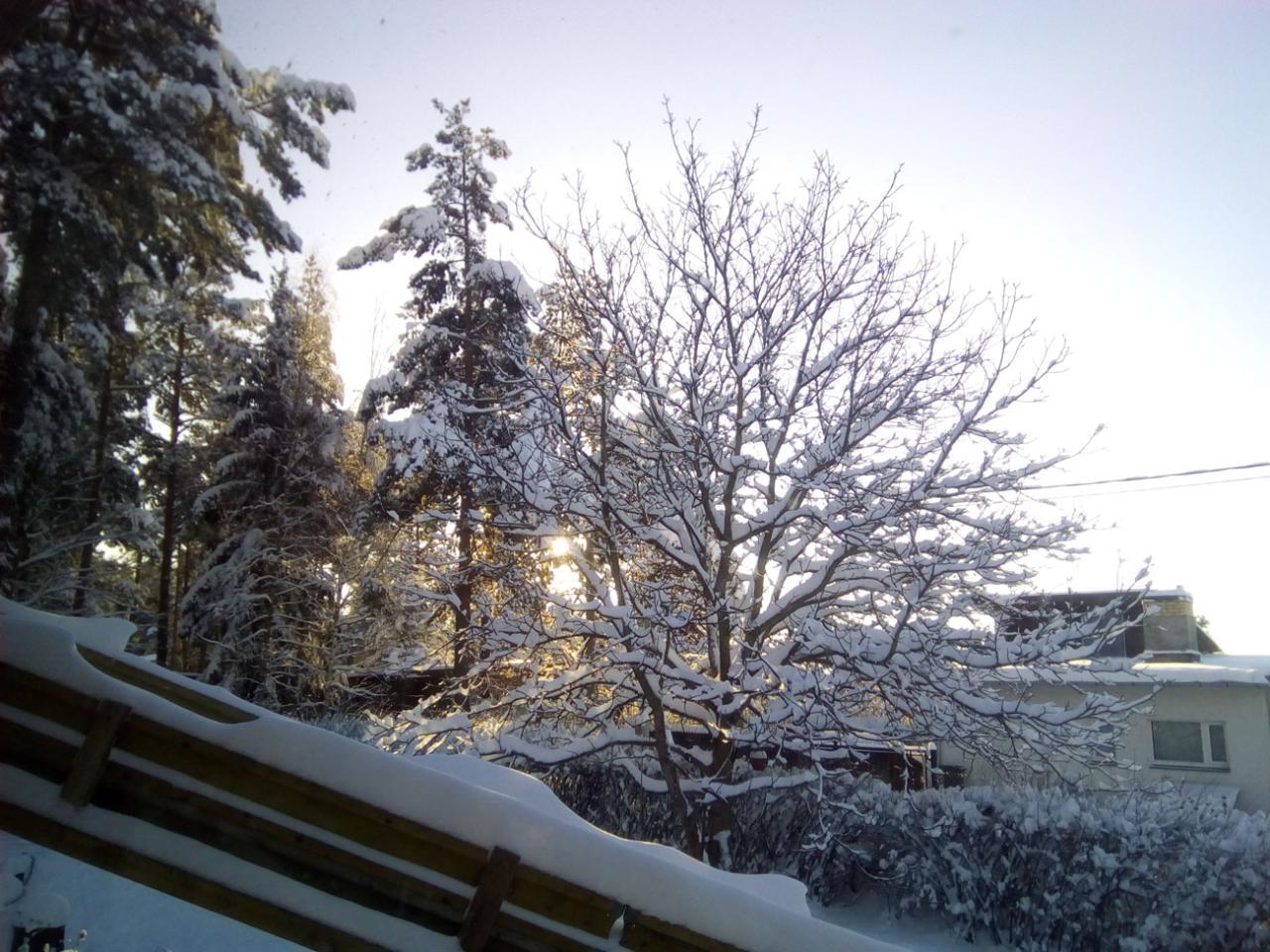 Winter Sunlight. Winter Sunlight.