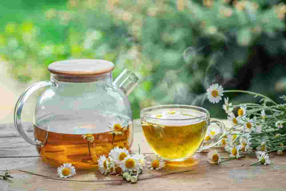 Chamomile Tea: A Caffeine-Free Brew with Countless Health Benefits Chamomile Tea: A Caffeine-Free Brew with Countless Health Benefits