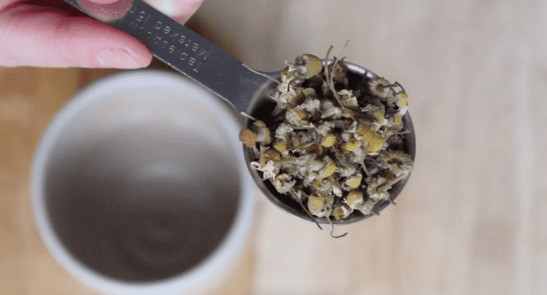 How To Make Chamomile Tea - Documenting Simple Living How To Make Chamomile Tea - Documenting Simple Living