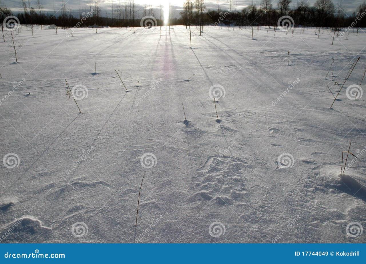 What's special about natural light - Sunlight Inside What's special about natural light - Sunlight Inside