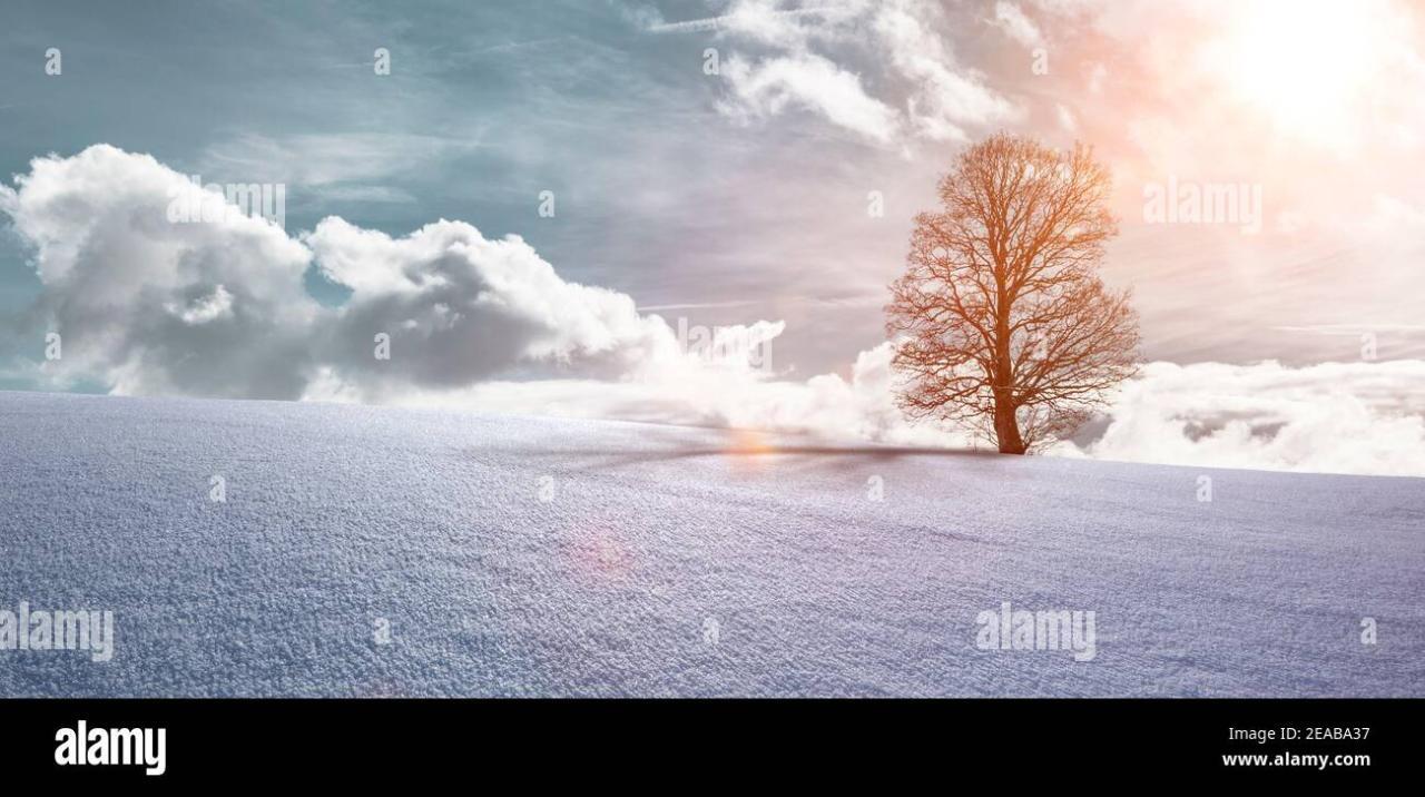 Winter landscape with tree and sunlight Stock Photo - Alamy Winter landscape with tree and sunlight Stock Photo - Alamy